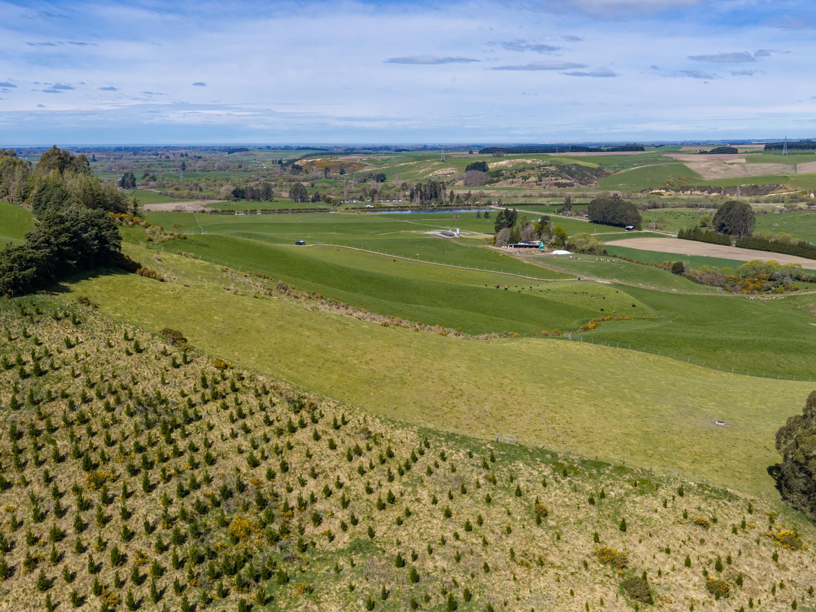 399 Gualter Road, Geraldine