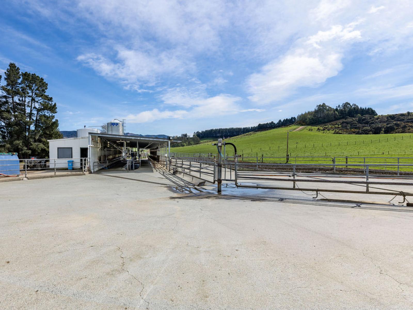 399 Gualter Road, Geraldine