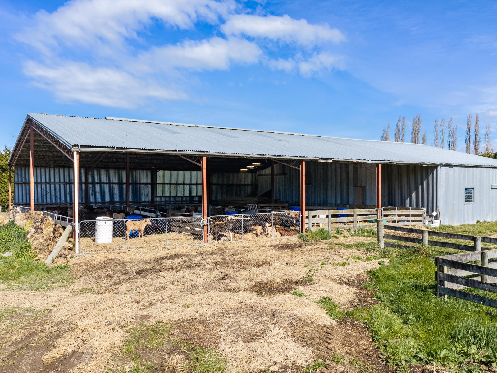 399 Gualter Road, Geraldine