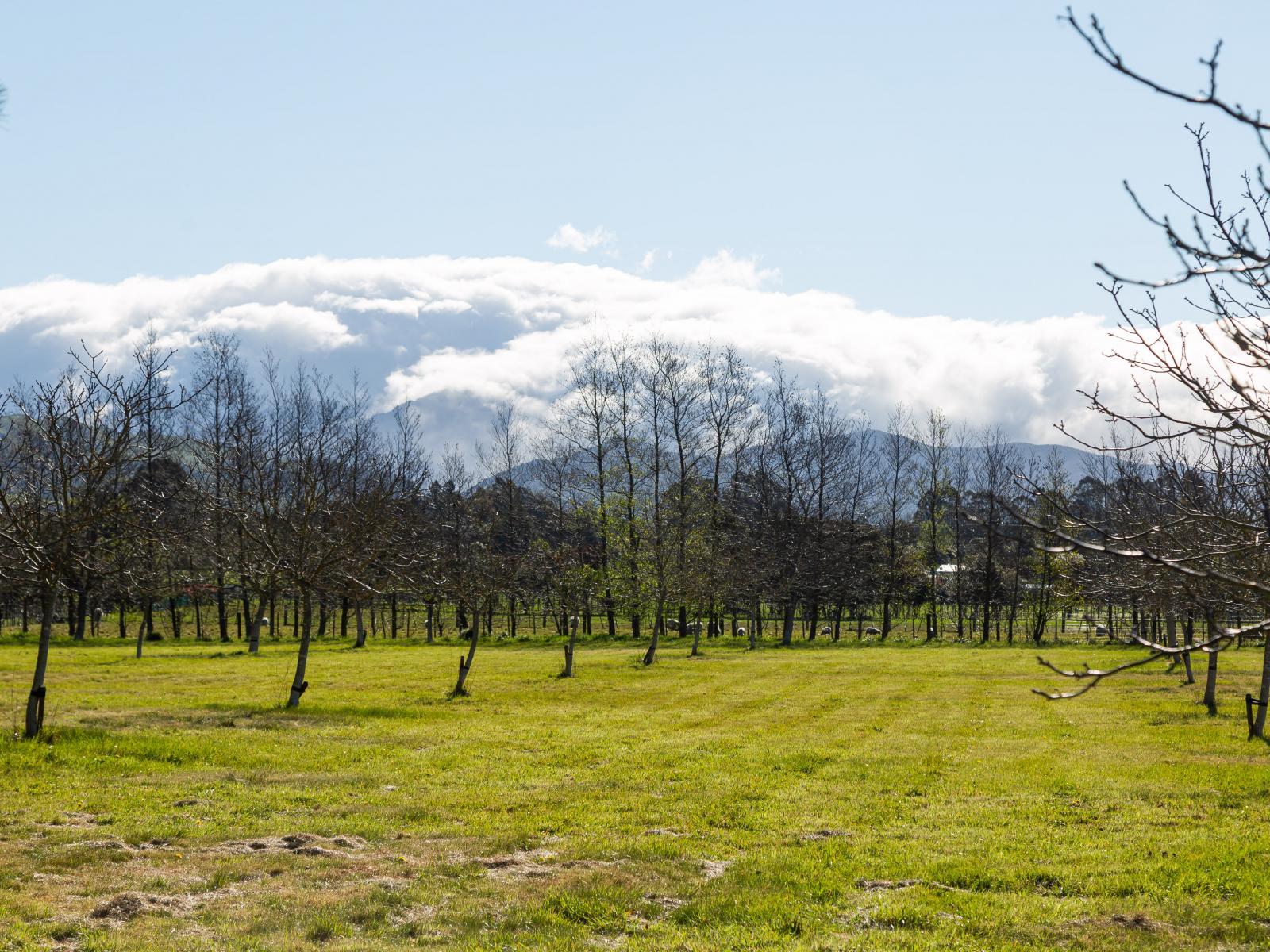 417 Upper Plain Road, Masterton