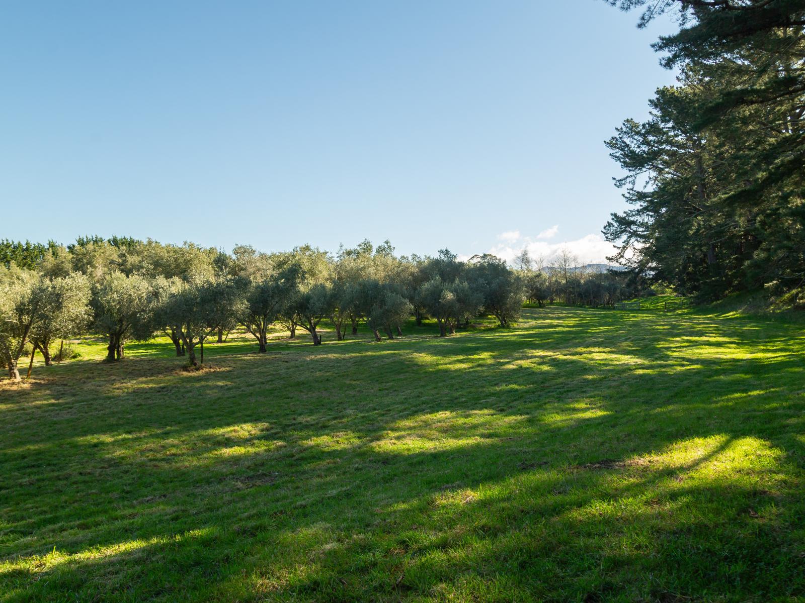 417 Upper Plain Road, Masterton
