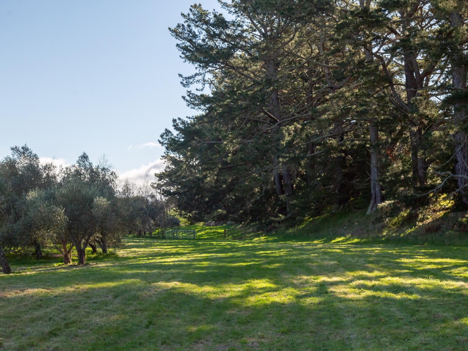 417 Upper Plain Road, Masterton