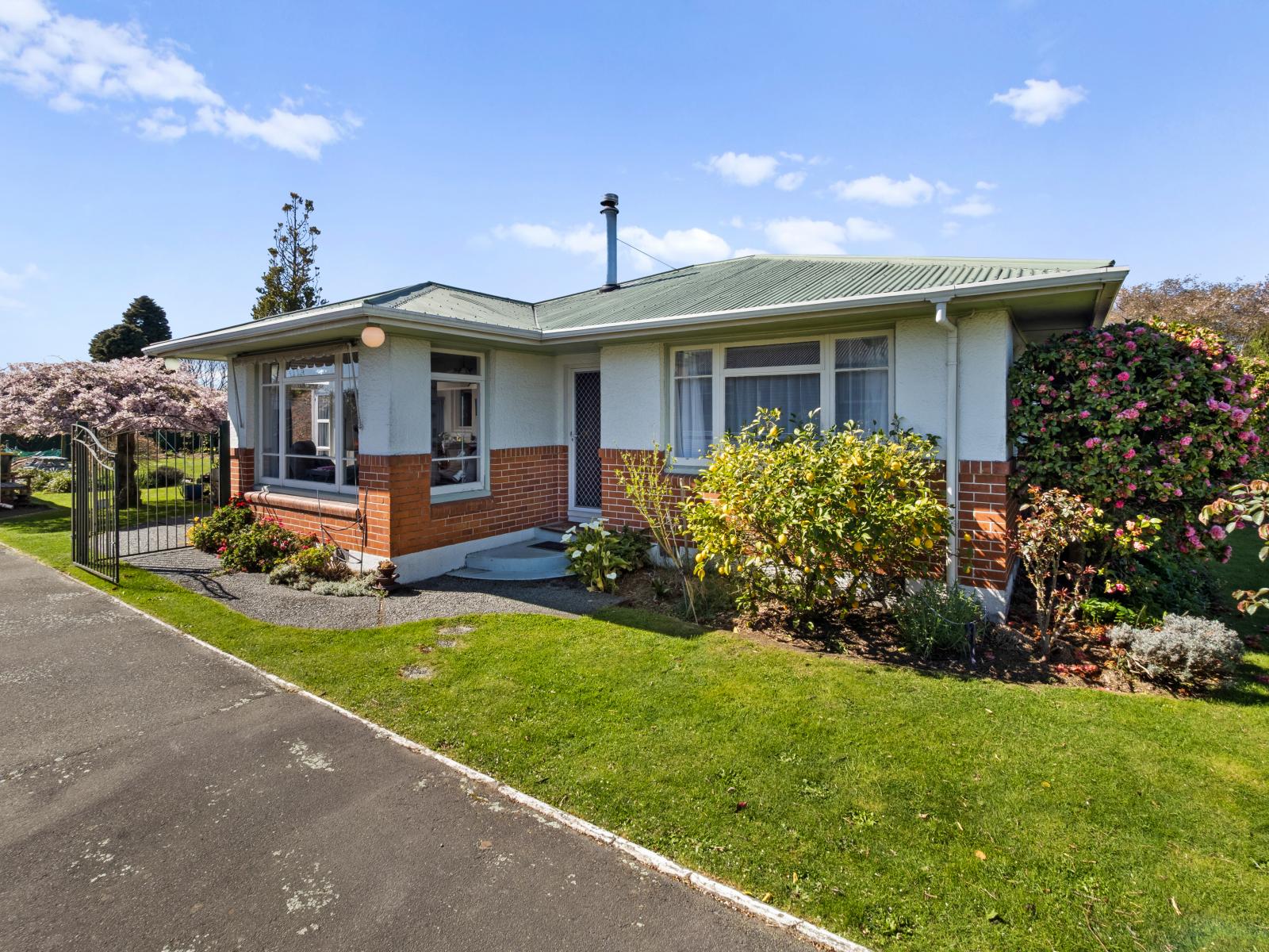13 Porter Street, Netherby