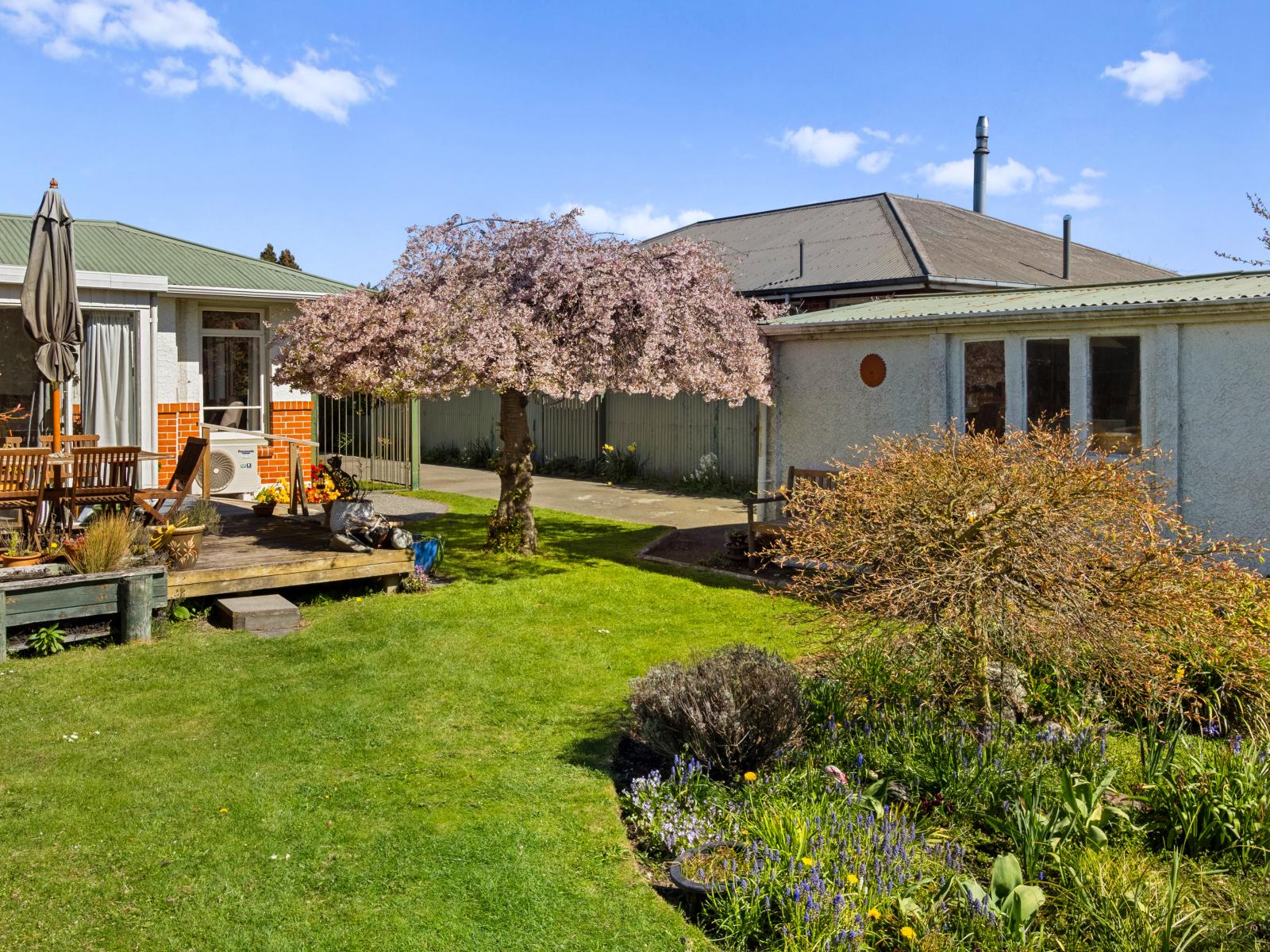 13 Porter Street, Netherby
