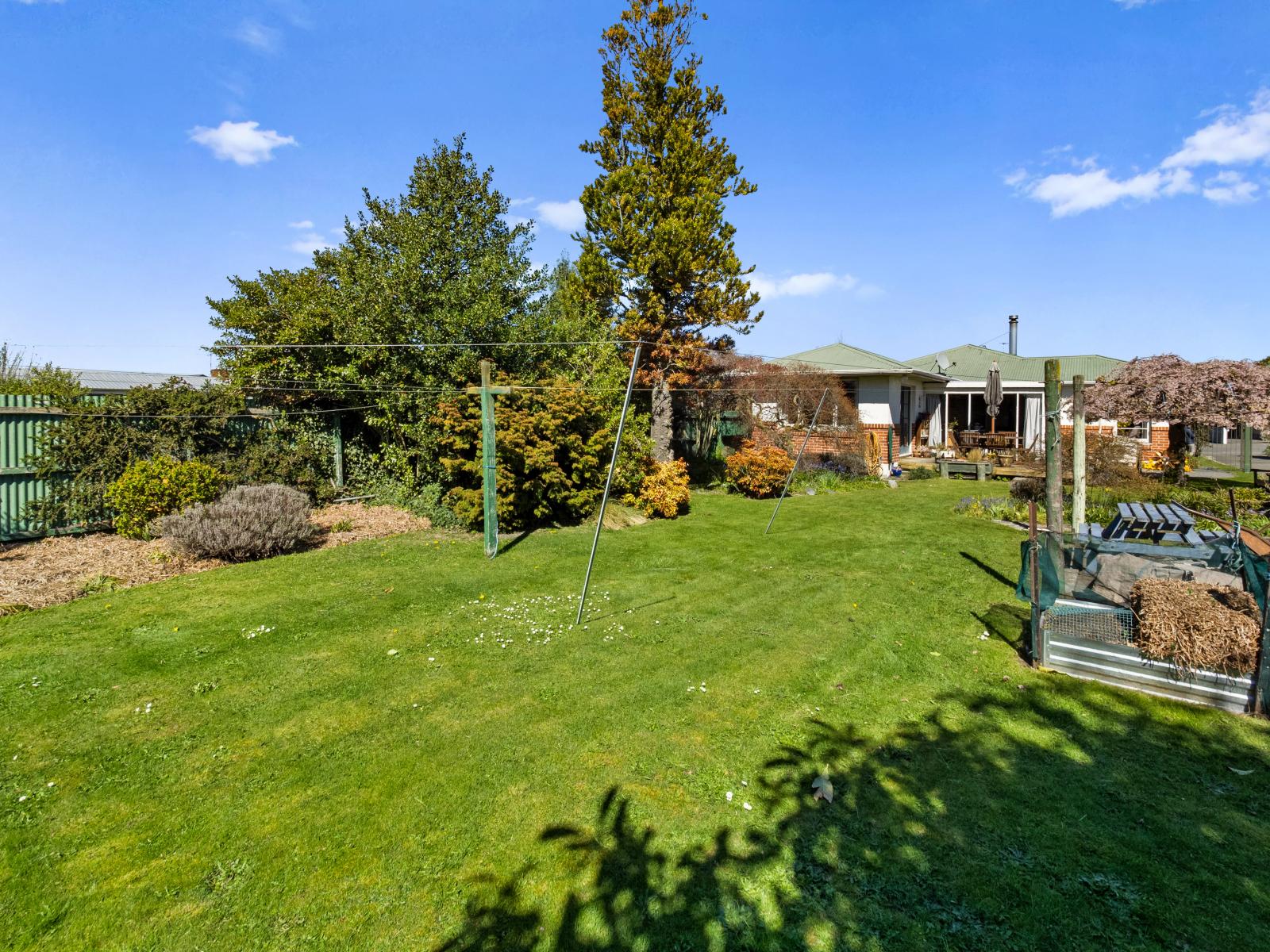 13 Porter Street, Netherby