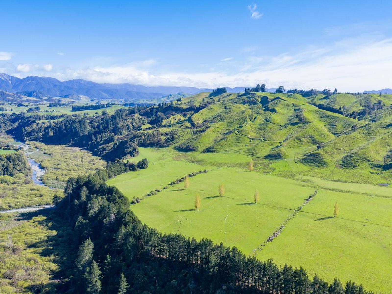 1139 Blackburn Road, Central Hawkes Bay