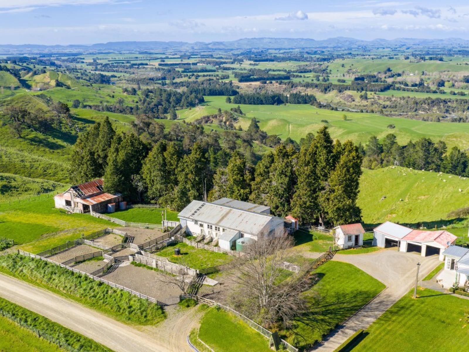 1139 Blackburn Road, Central Hawkes Bay