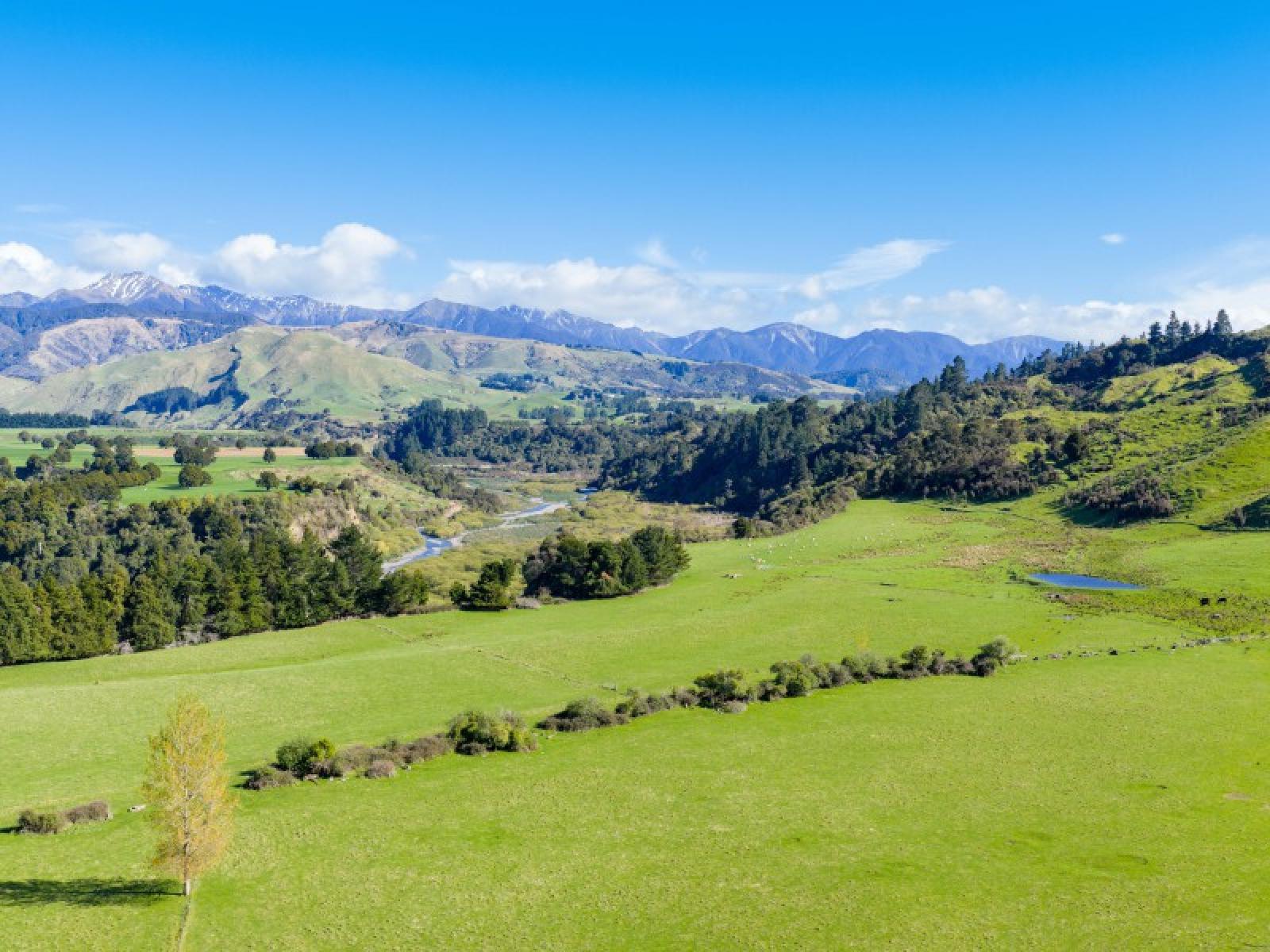 1139 Blackburn Road, Central Hawkes Bay