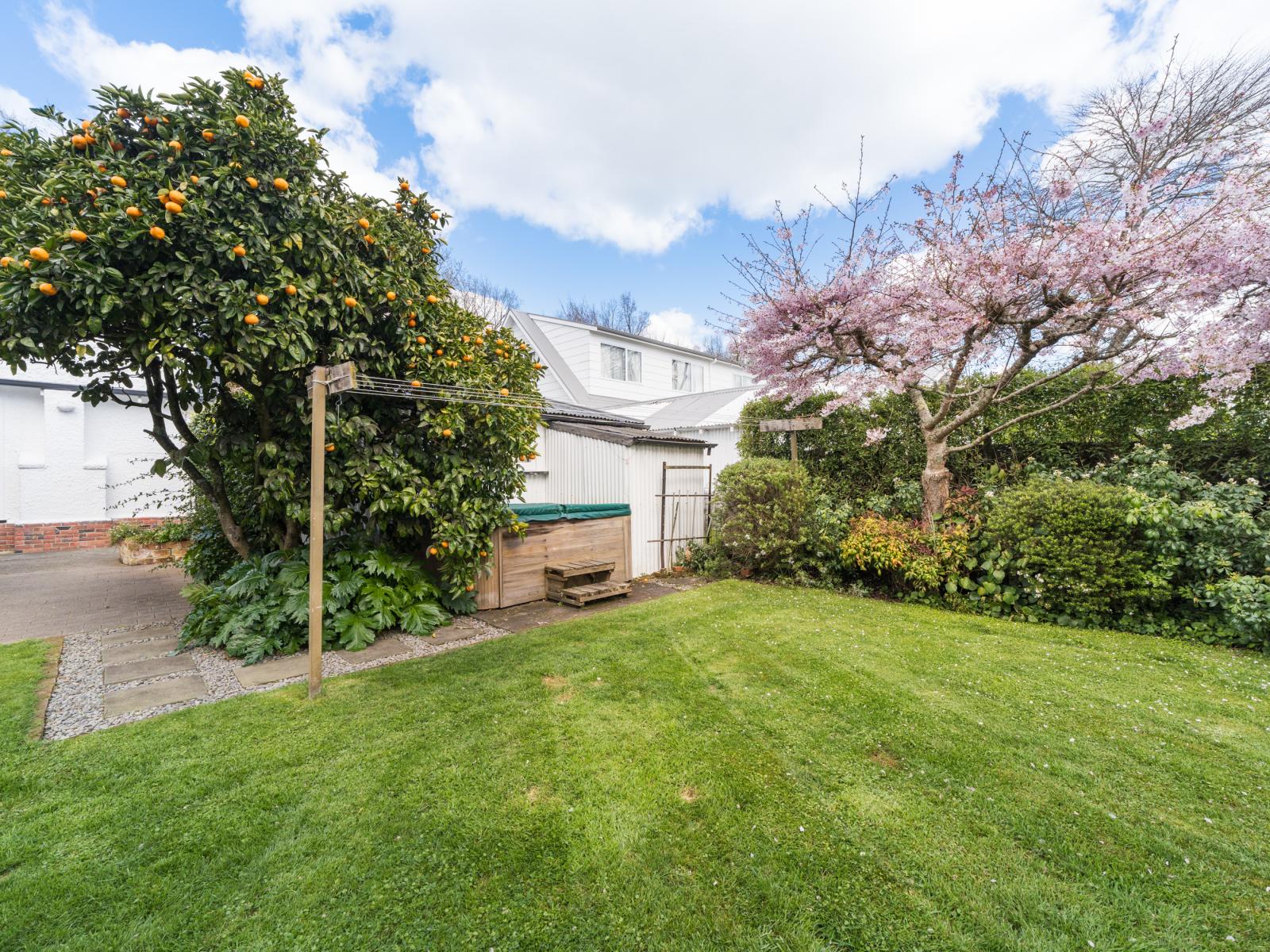17 Elmira Avenue, Hokowhitu