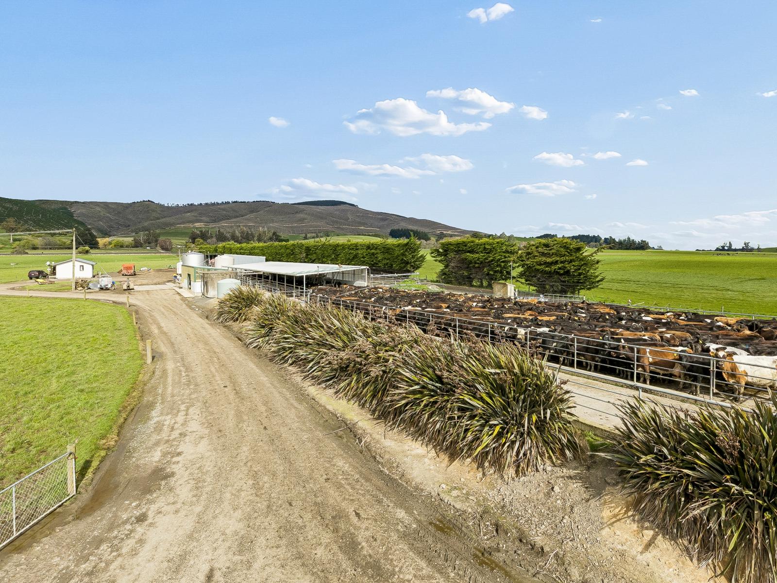 49 Phosphate Road, Clarendon
