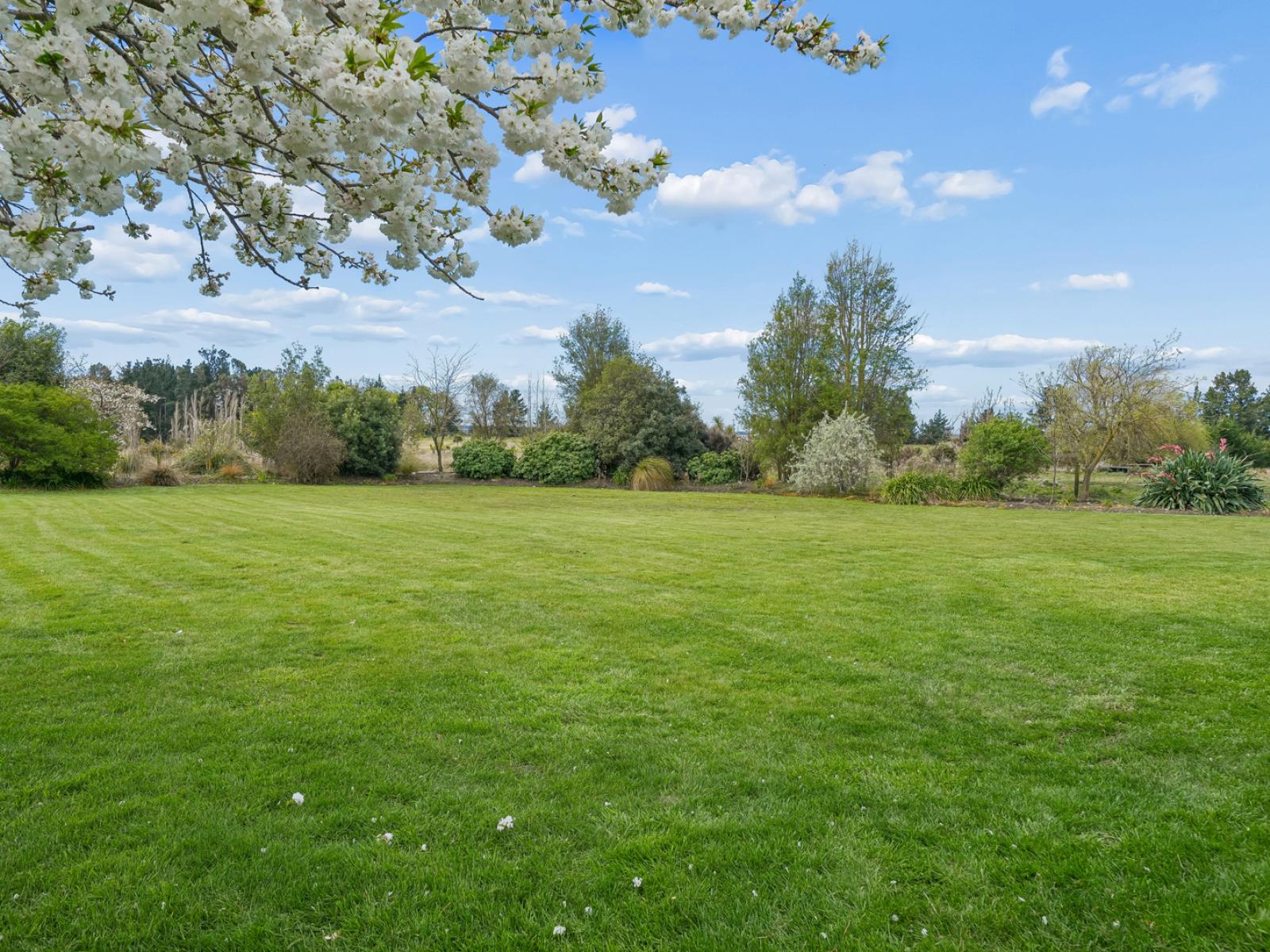 166 Swamp Road, Loburn