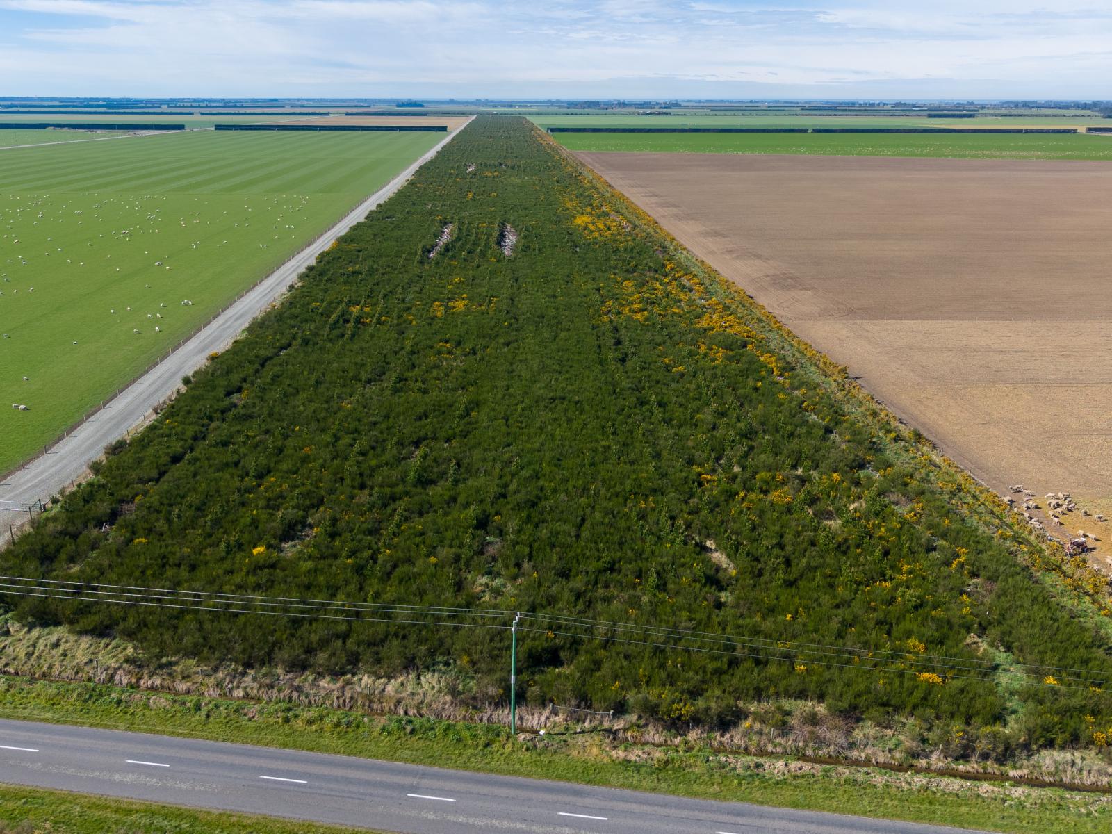 Company Road, Ashburton