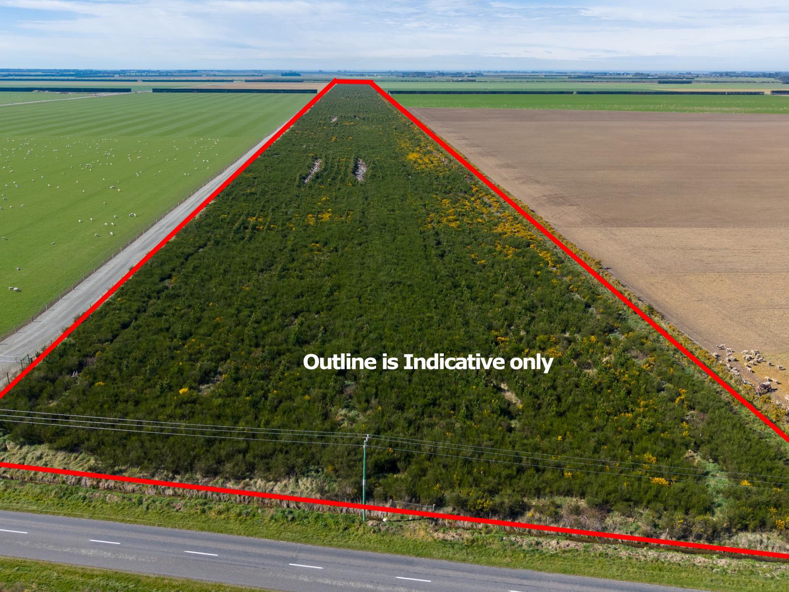 Company Road, Ashburton