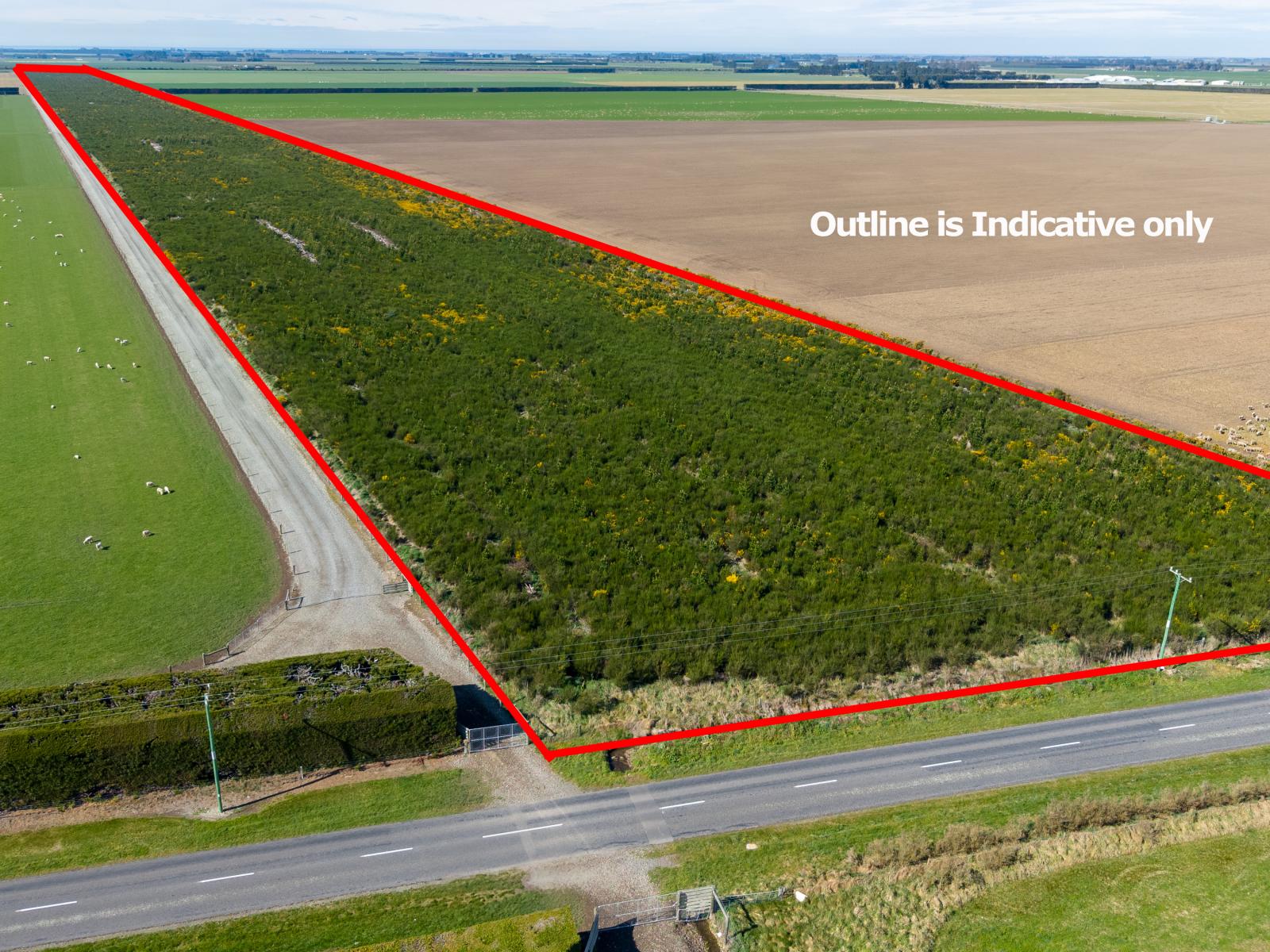 Company Road, Ashburton