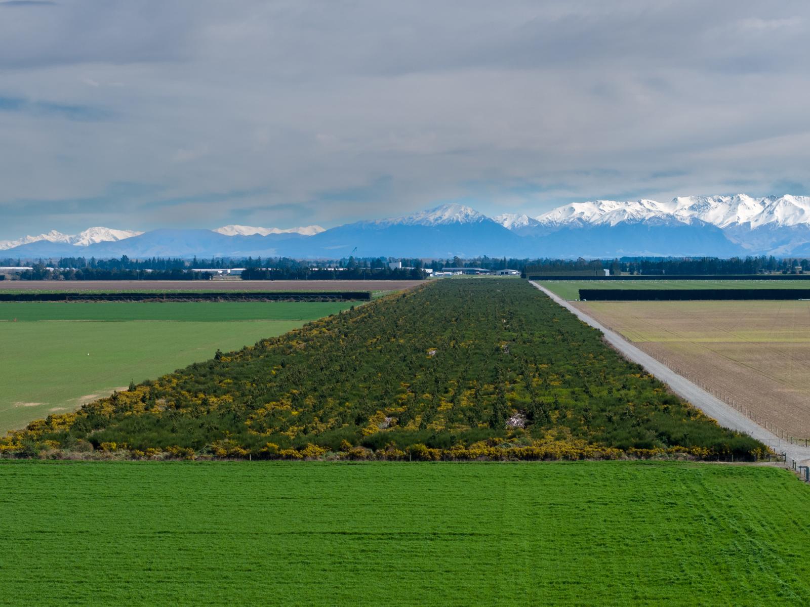 Company Road, Ashburton