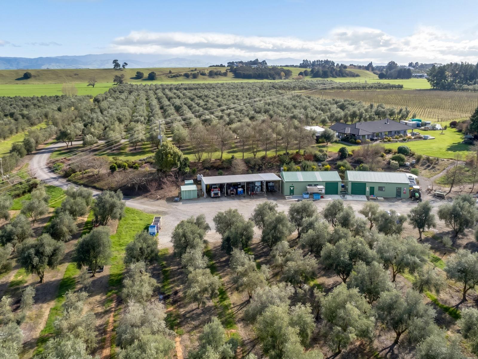244 Dakins Road, East Taratahi