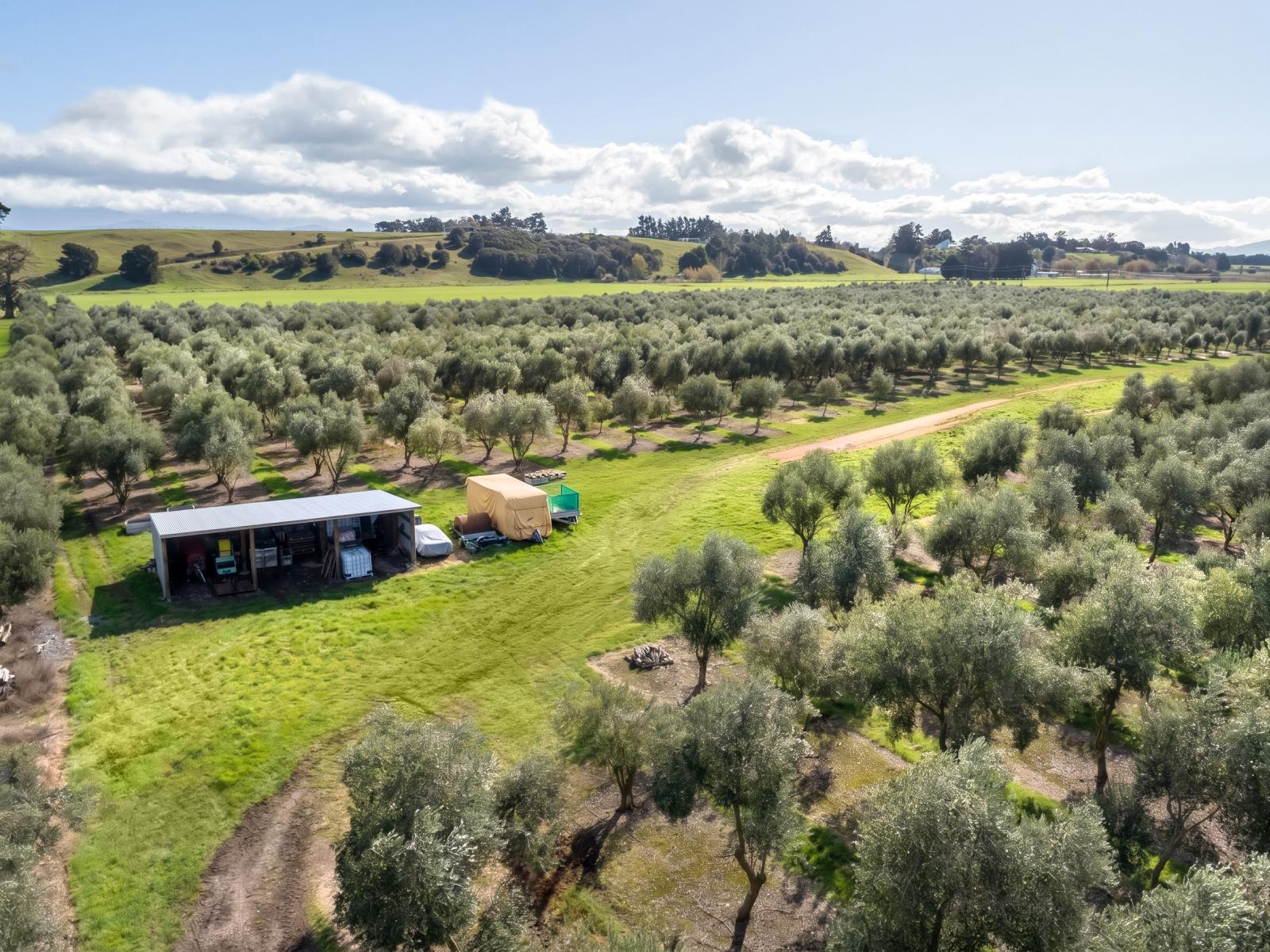 244 Dakins Road, East Taratahi
