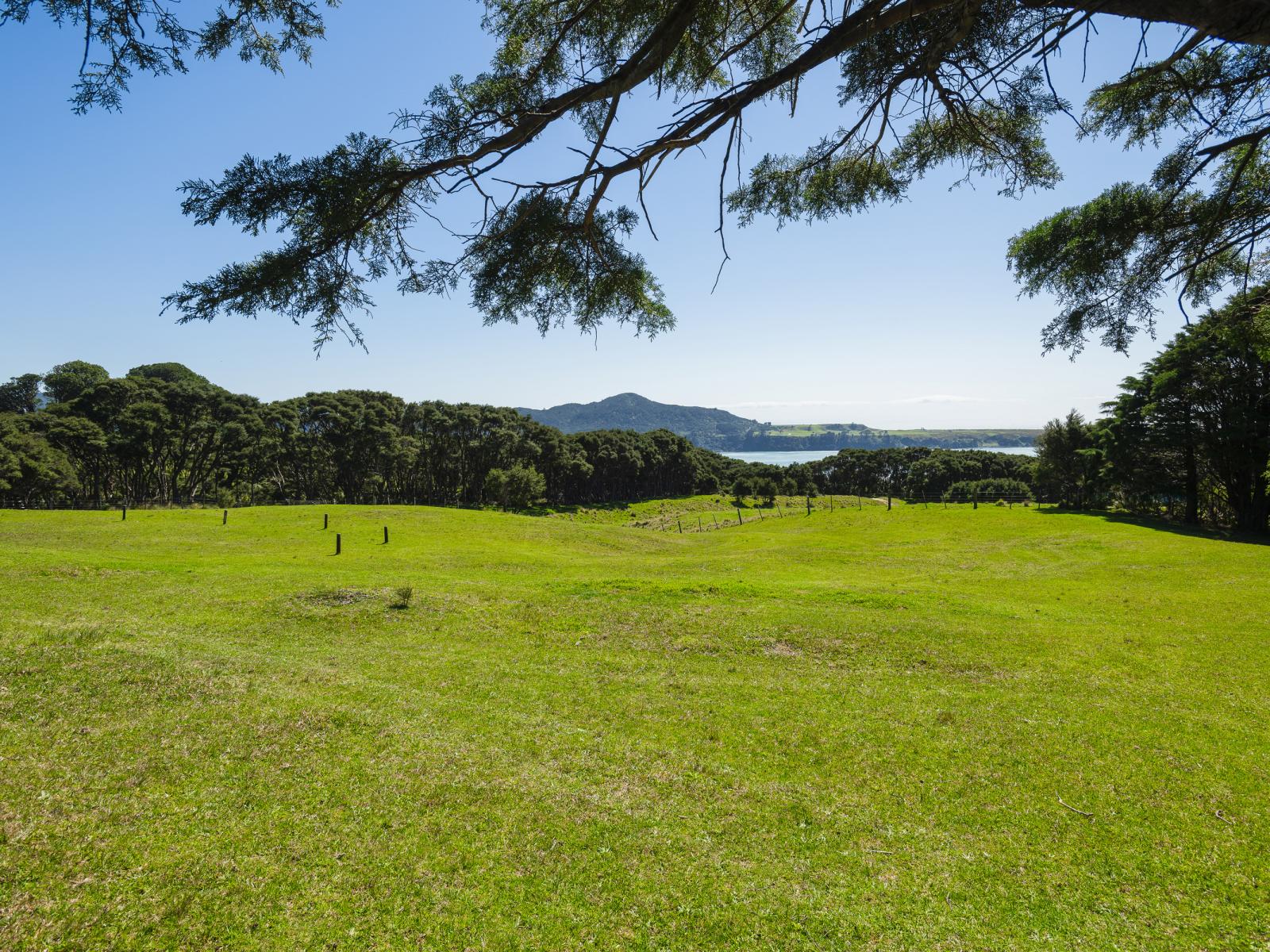 5114 Te Araroa Road, Hicks Bay