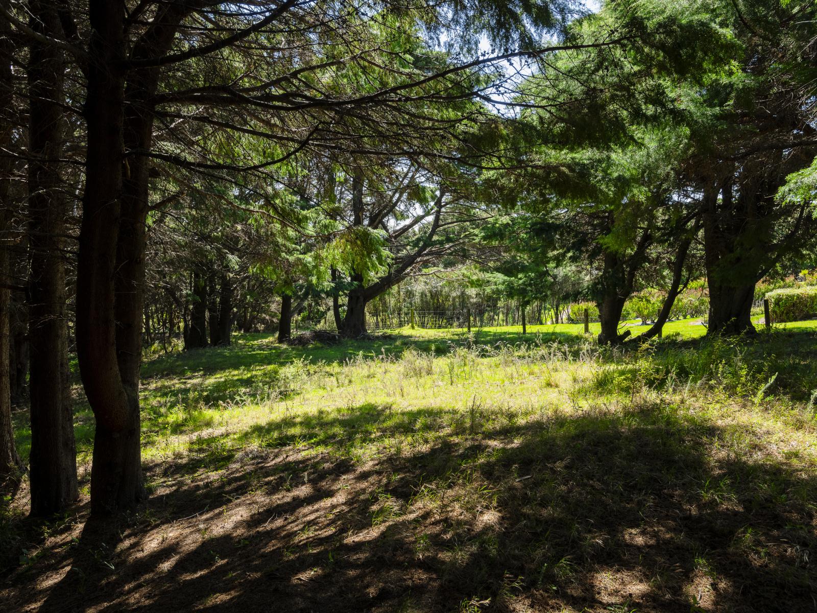 5114 Te Araroa Road, Hicks Bay
