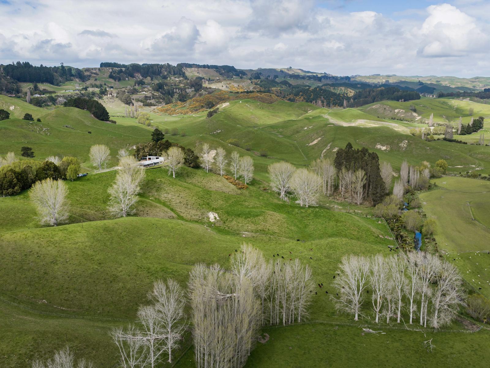 634 Maraetotara Road, Kahuranaki