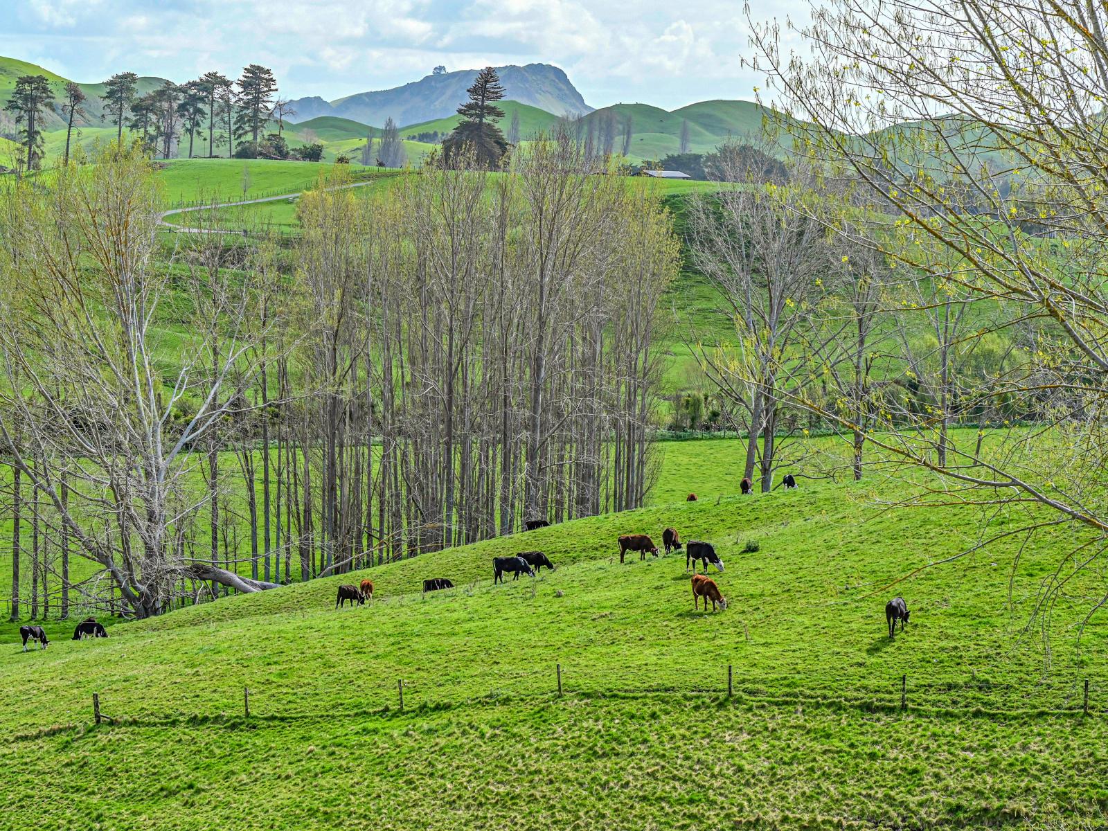 634 Maraetotara Road, Kahuranaki