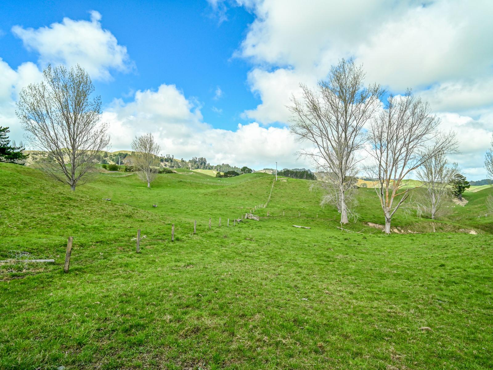 634 Maraetotara Road, Kahuranaki