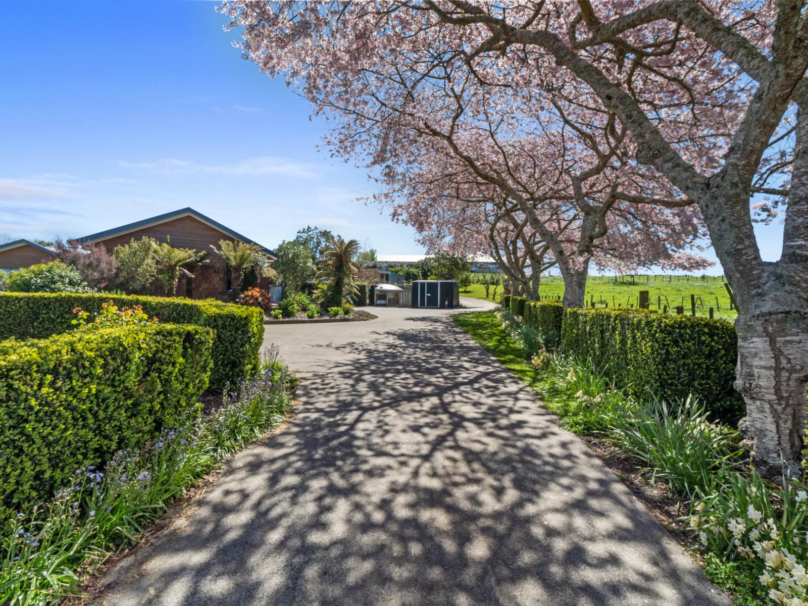 26 Appleton Lane, Eureka