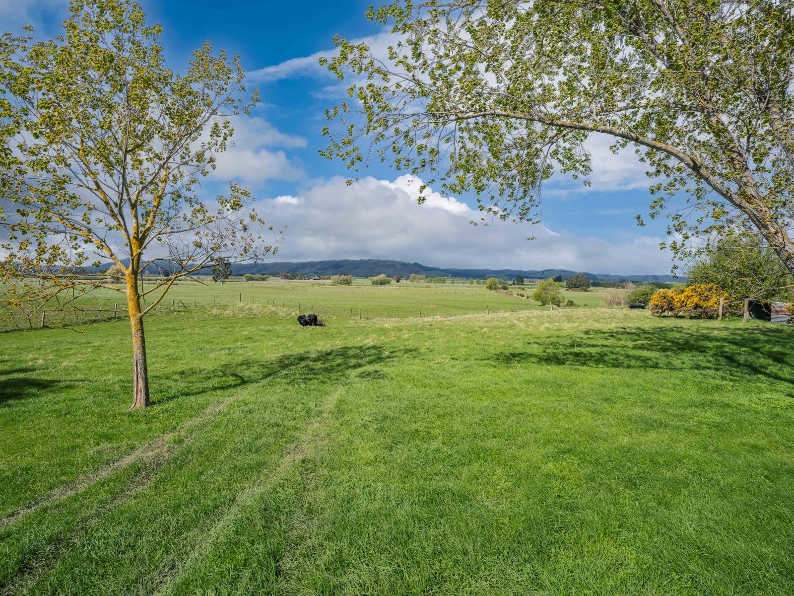 369 Maungatua Road, Woodside
