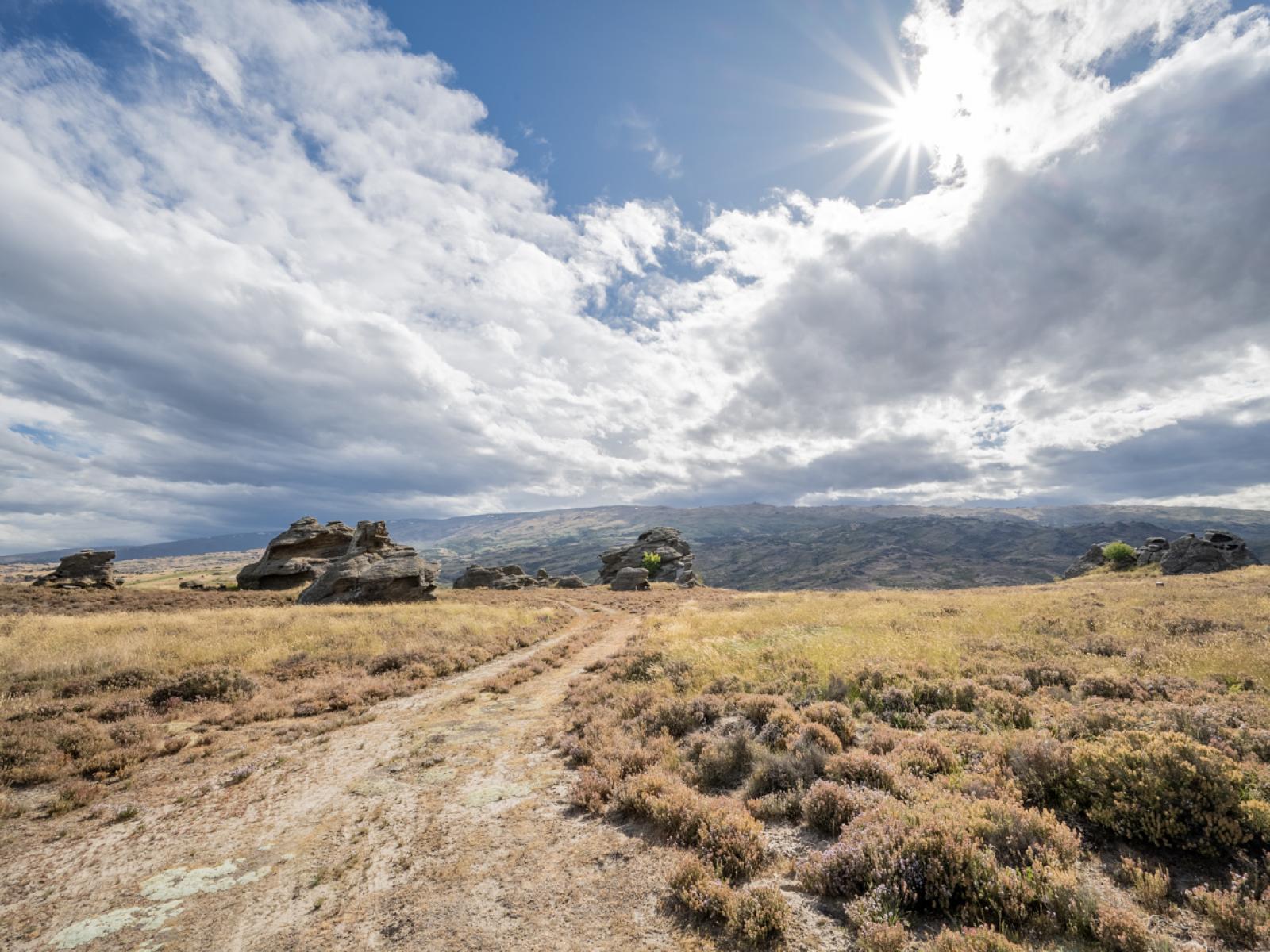 CONROYS Road, Conroys Gully