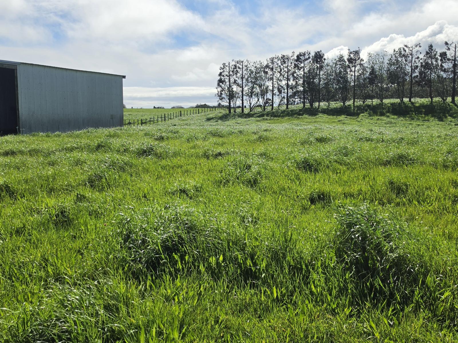 Lot 1 Kaihihi Road Lower, Okato