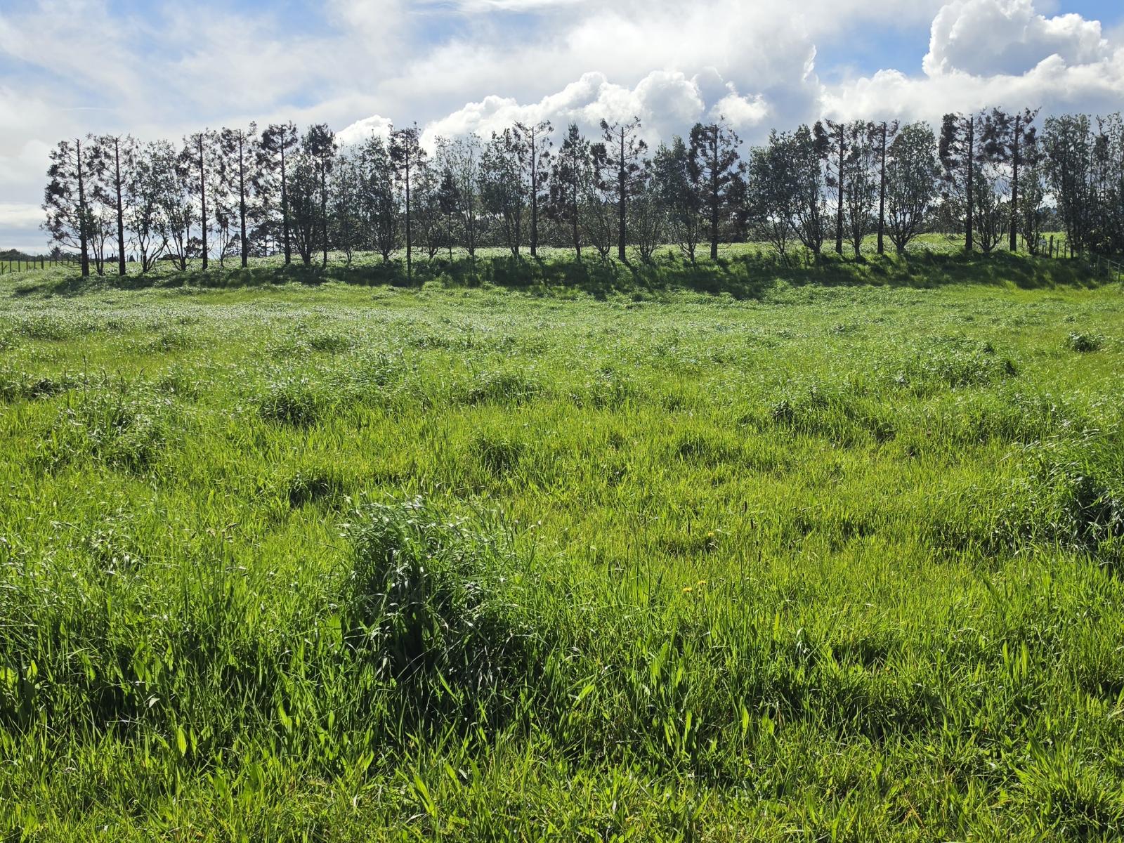 Lot 1 Kaihihi Road Lower, Okato