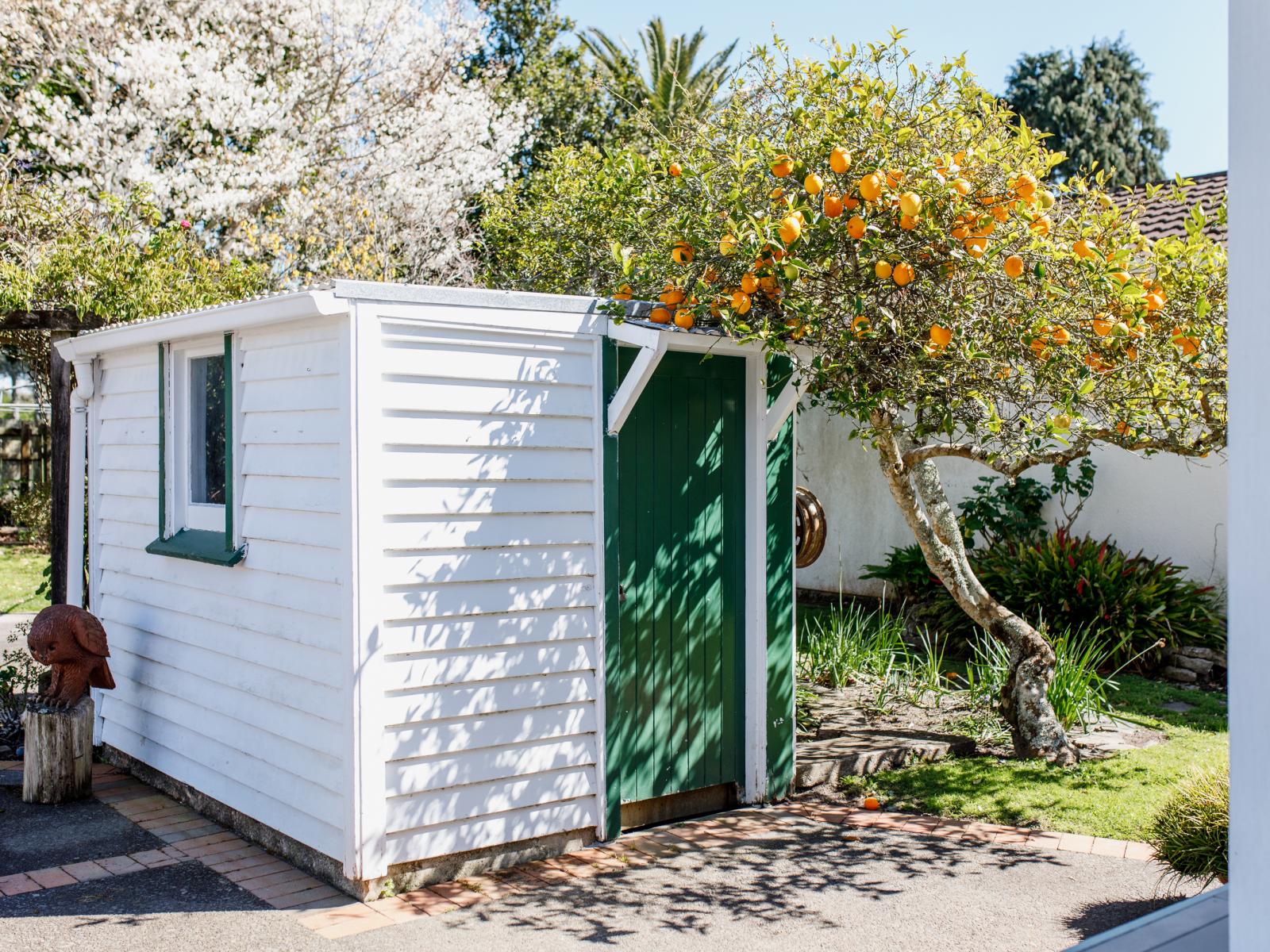10 Francis Street, Whakatane
