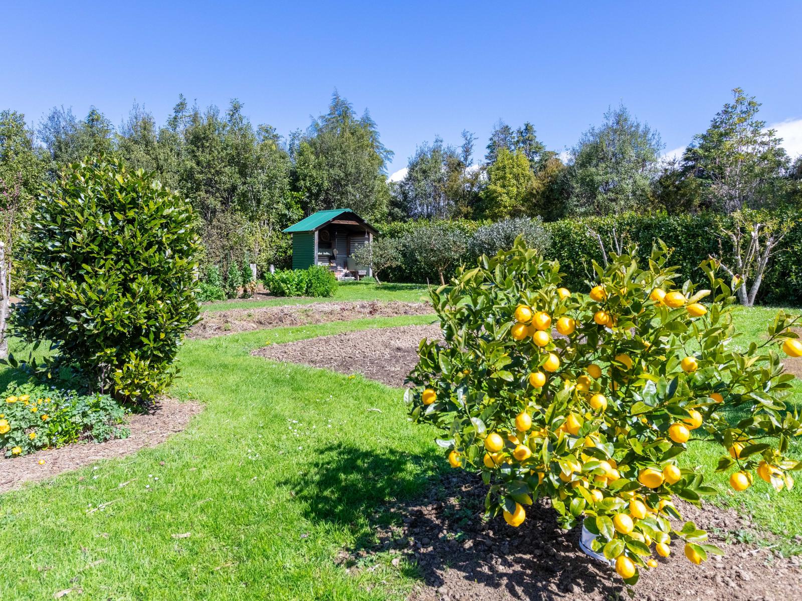 524 Top Grass Road, Dannevirke