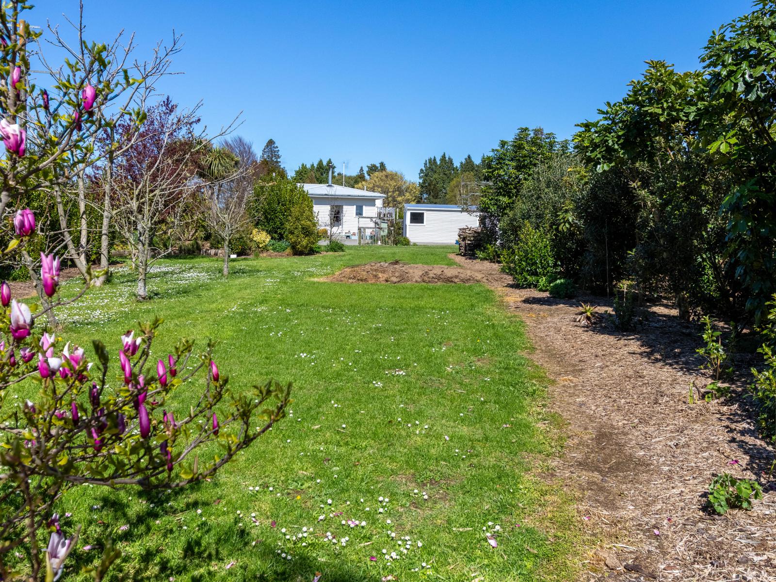 524 Top Grass Road, Dannevirke
