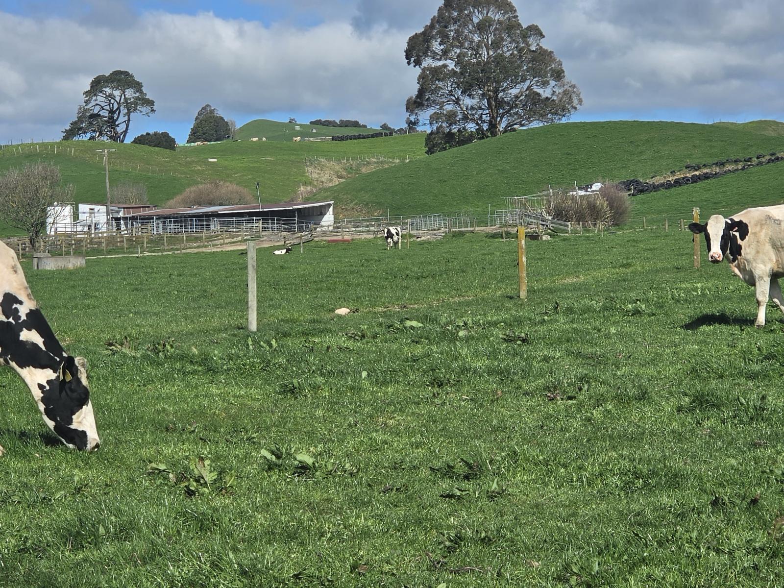 128 Waikaukau Road, Ngakuru