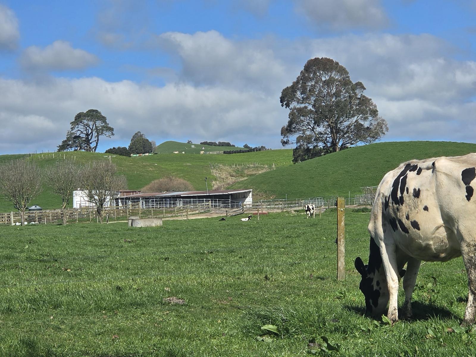 128 Waikaukau Road, Ngakuru