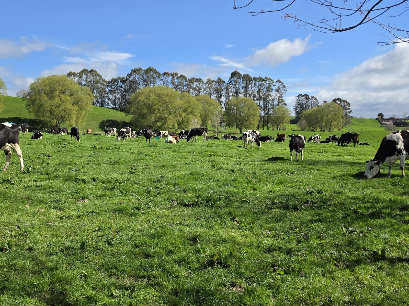 128 Waikaukau Road, Ngakuru