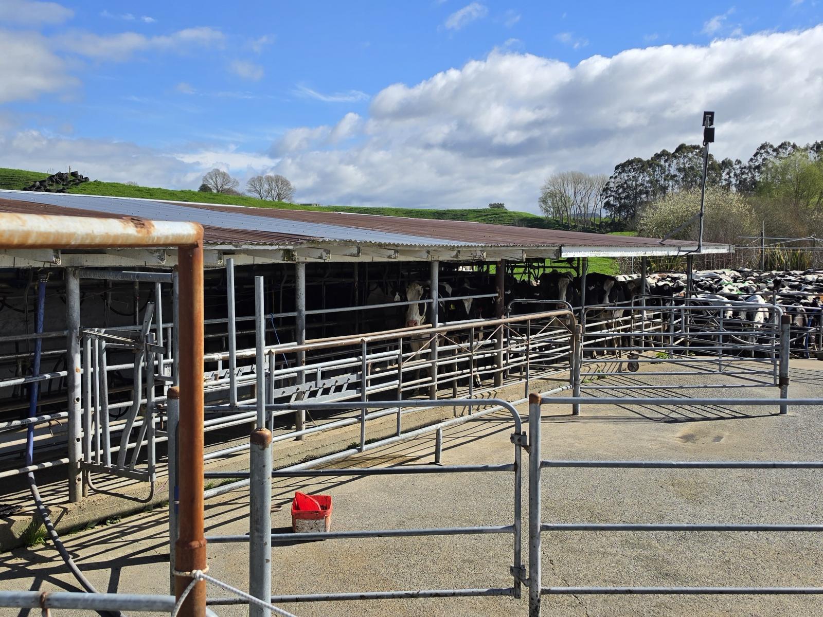 128 Waikaukau Road, Ngakuru