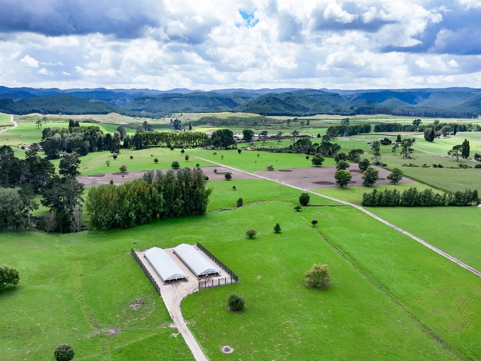 91 State Highway 30, Kinleith