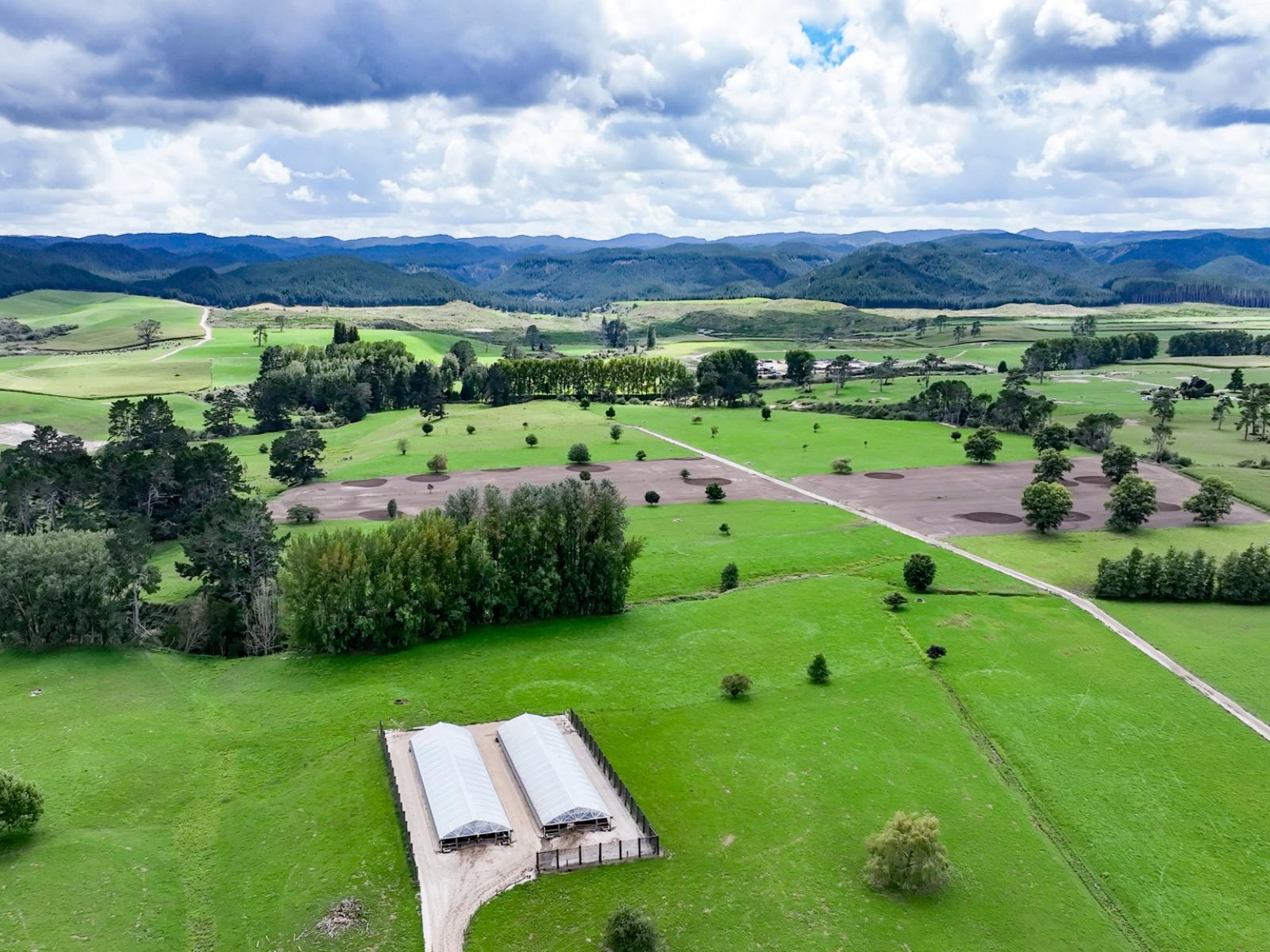 91 State Highway 30, Kinleith