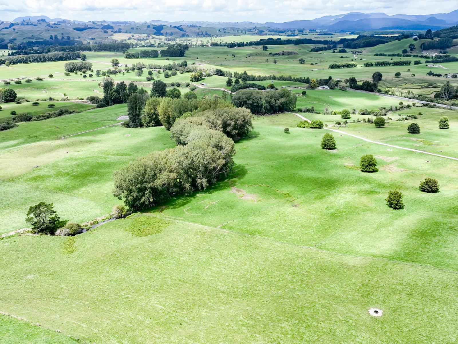 91 State Highway 30, Kinleith