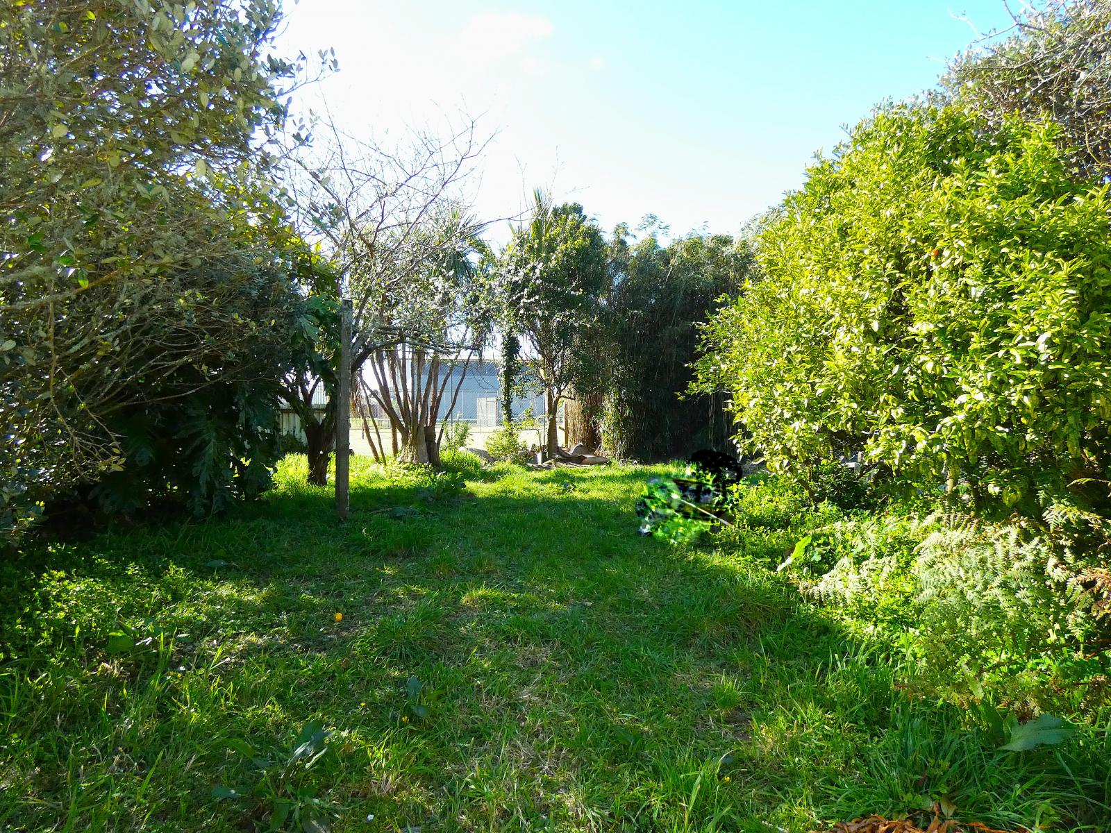 31 Brougham Street, Westport