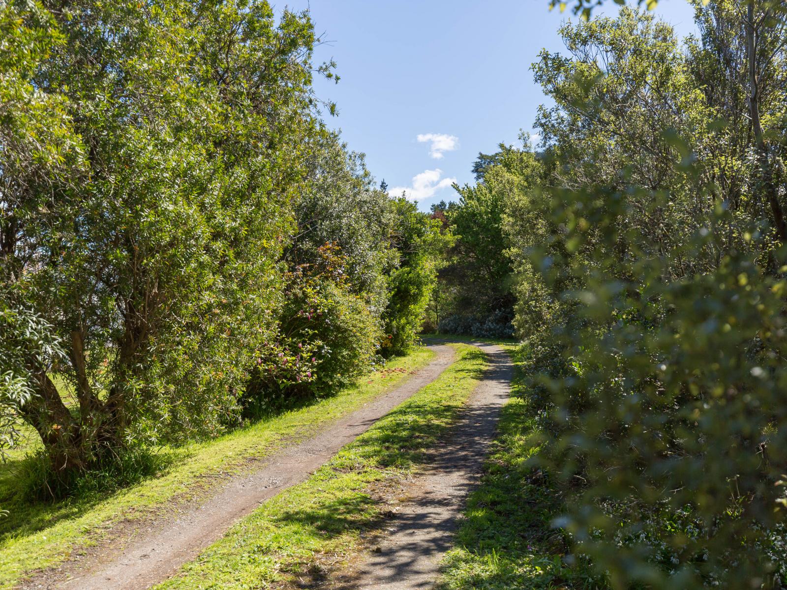 3363 State Highway 2, Carterton