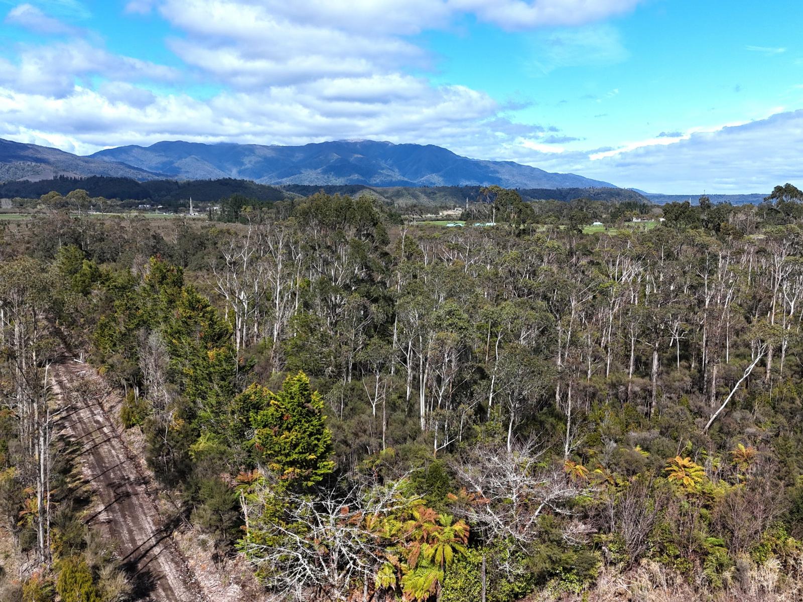 210 Utopia Road , Westport