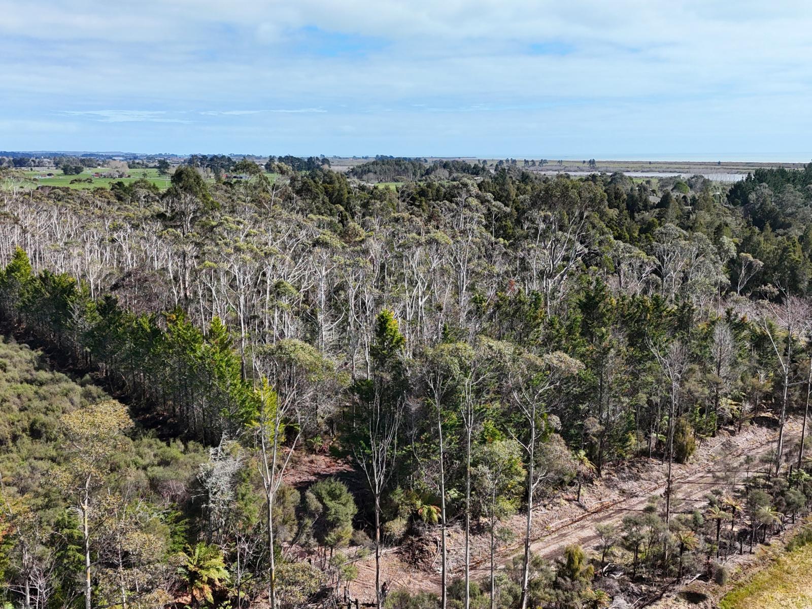 210 Utopia Road , Westport