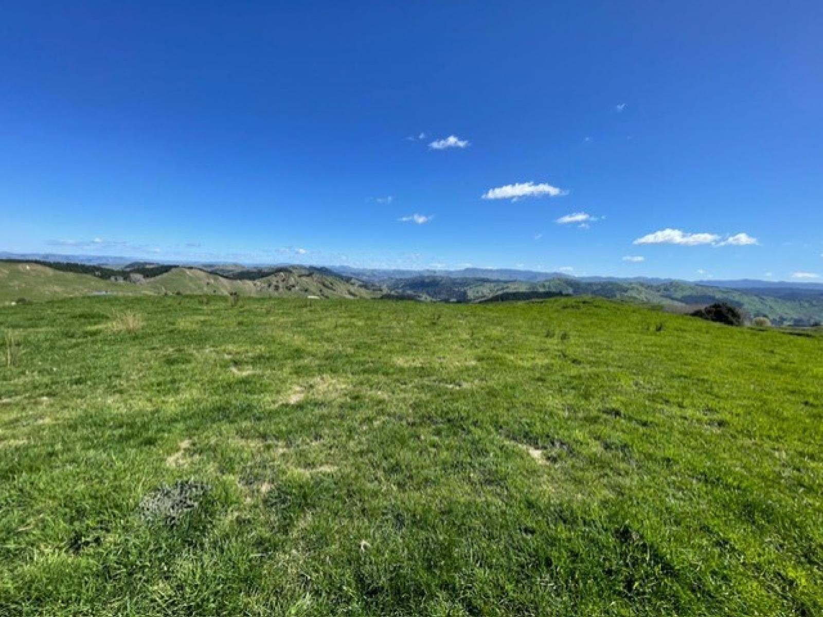 1845 Kanakanaia Road, Whatatutu