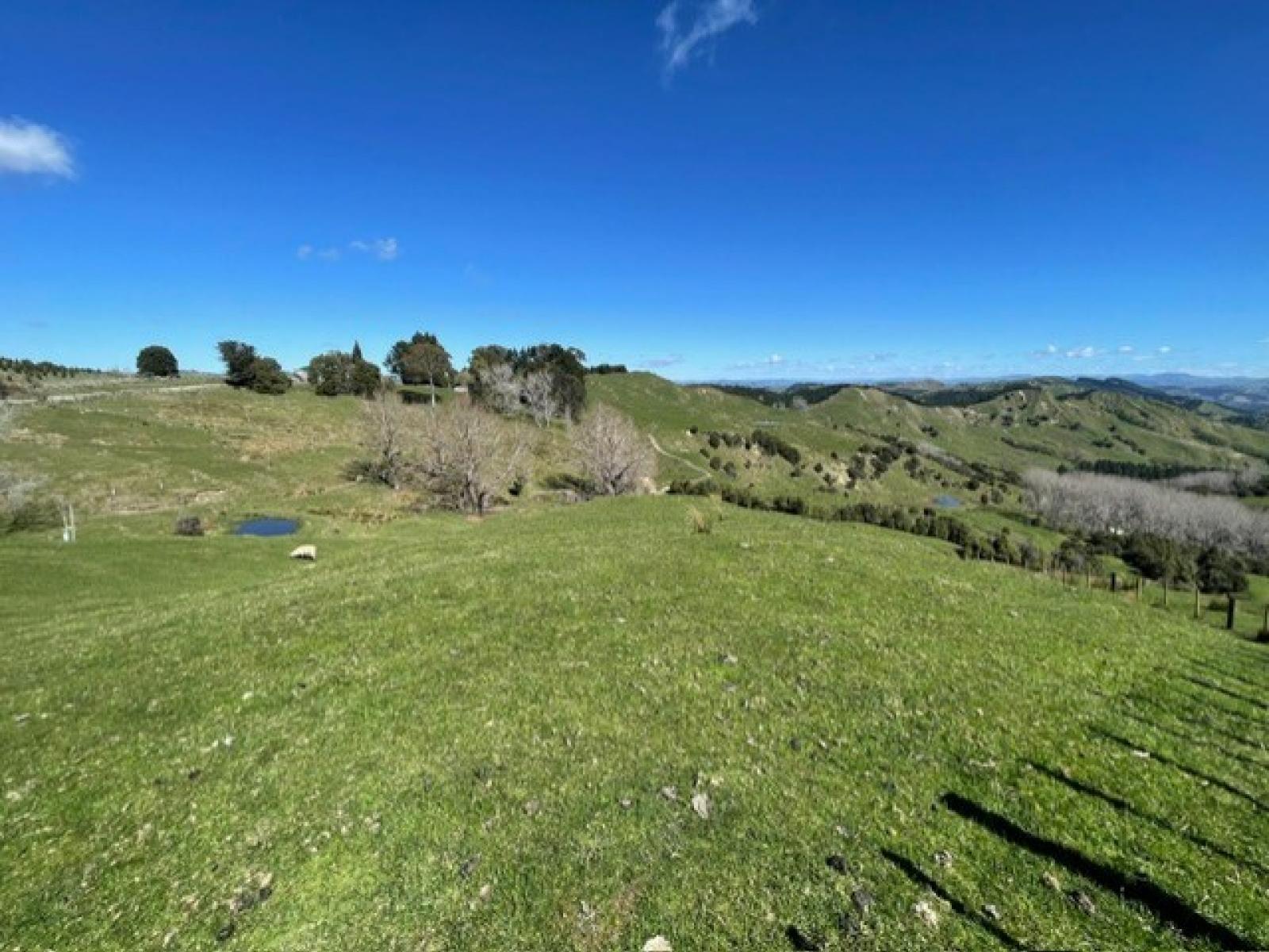 1845 Kanakanaia Road, Whatatutu