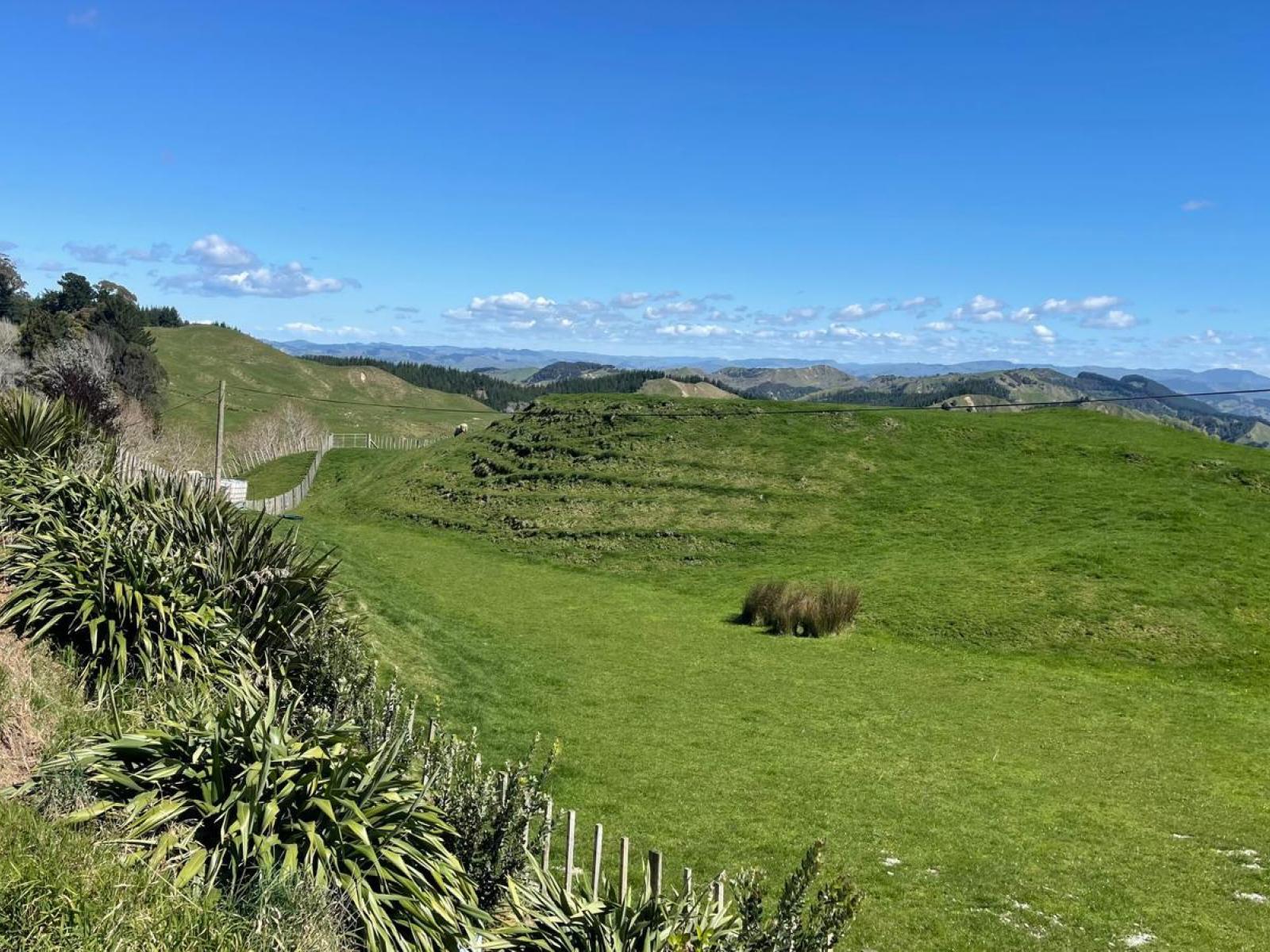 1845 Kanakanaia Road, Whatatutu