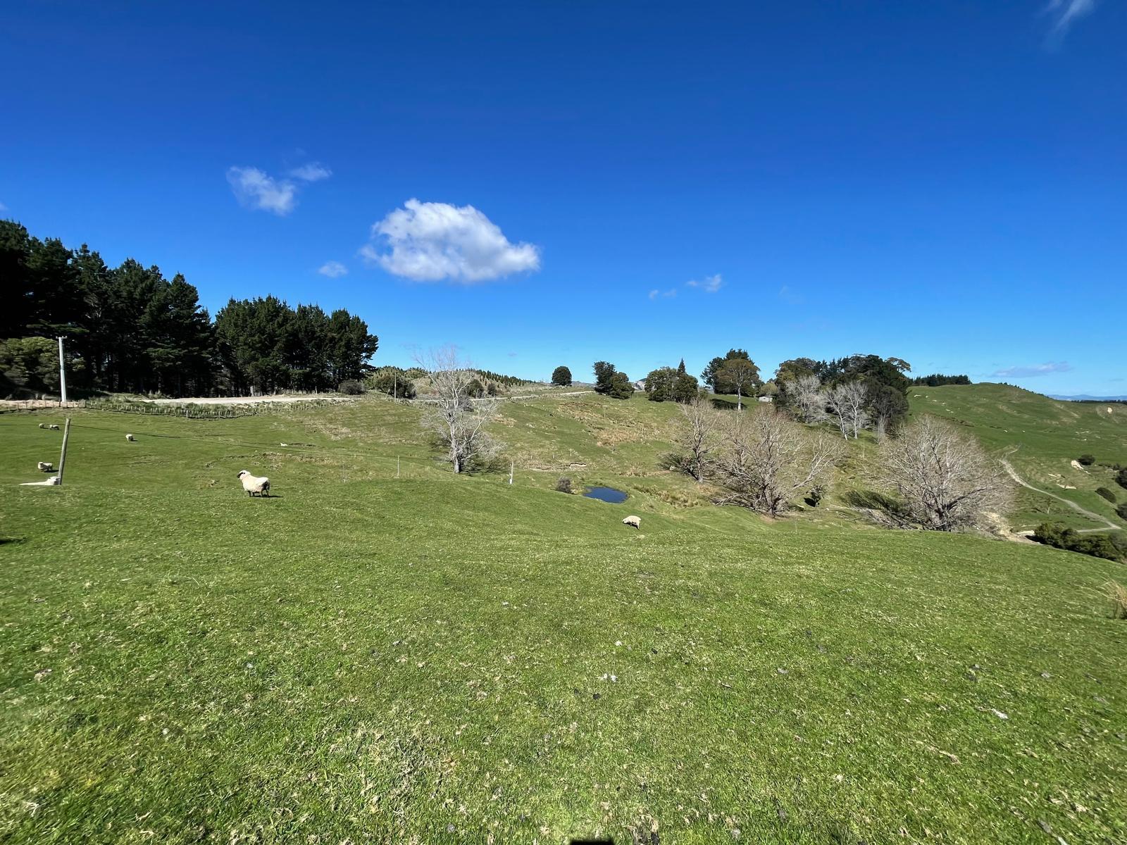 1845 Kanakanaia Road, Whatatutu