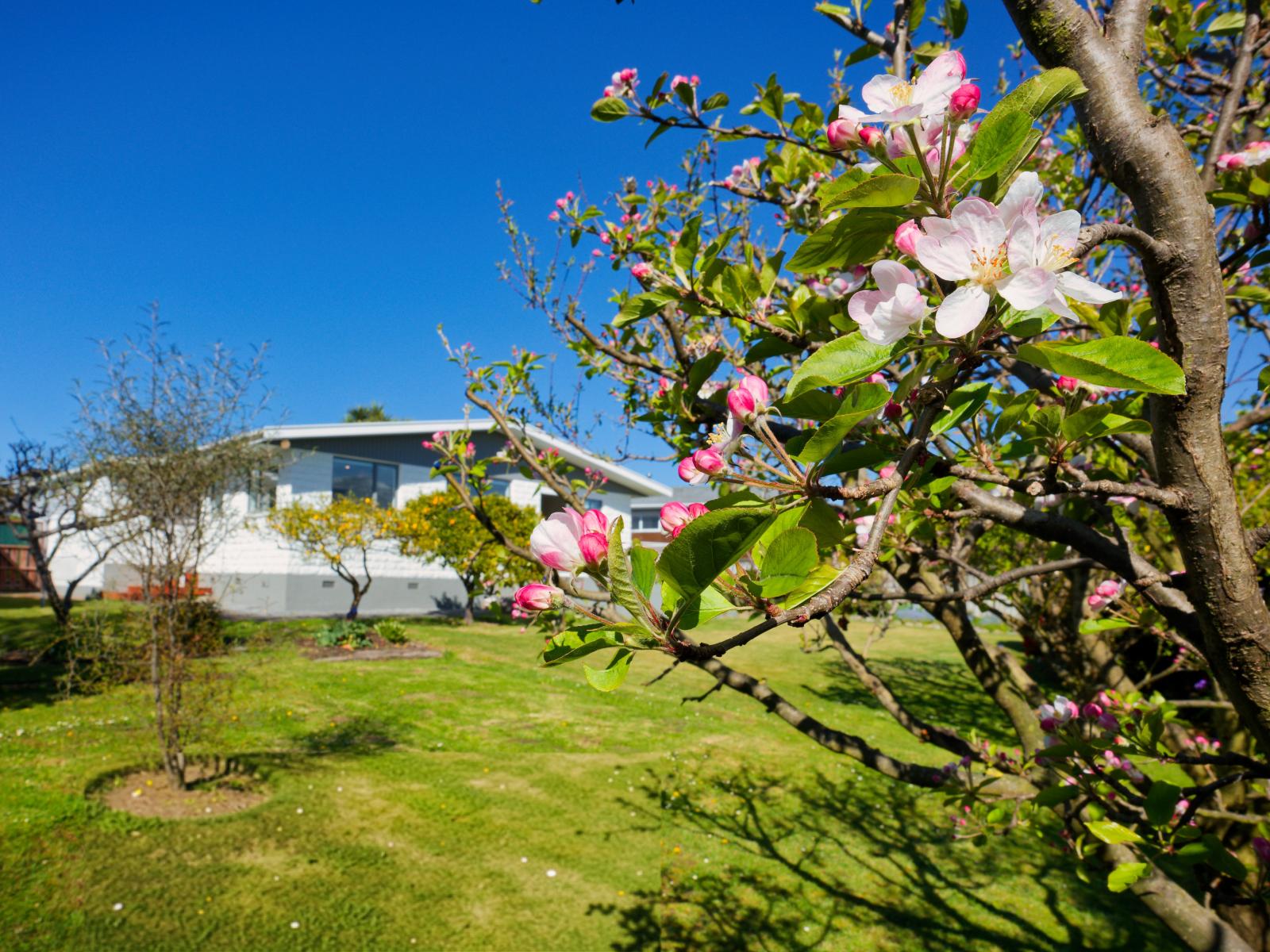 26 Hastings Street, Kaikoura